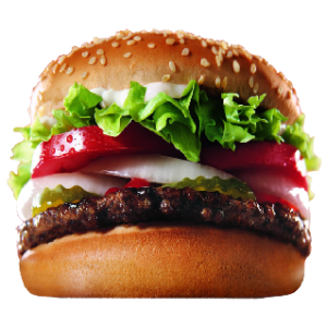 Classic Burger with French Fries